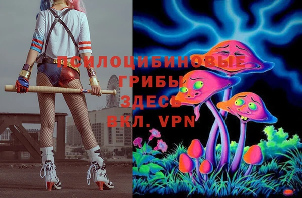 jwh Няндома