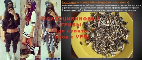 ГАЛЛЮЦИНОГЕННЫЕ ГРИБЫ Нязепетровск