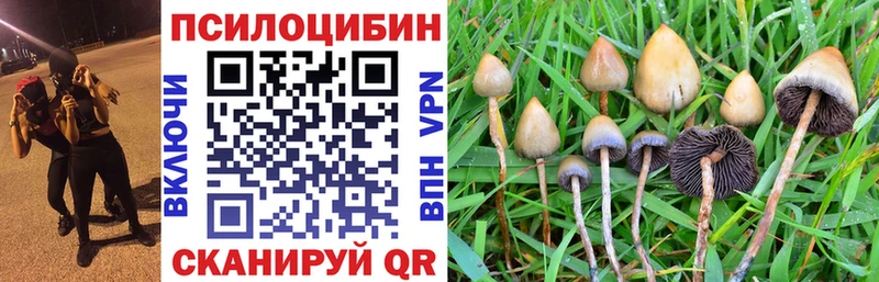 Галлюциногенные грибы GOLDEN TEACHER  Купить закладки  Калач-на-Дону 